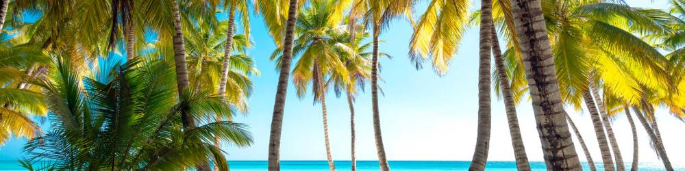 République dominicaine