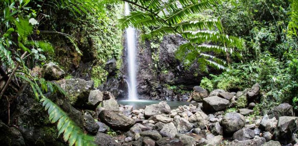 Les 3 cascades du domaine d’Hamoa Les 3 cascades du domaine d’Hamoa