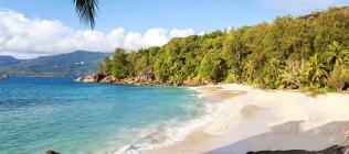 Anse Soleil Beachcomber