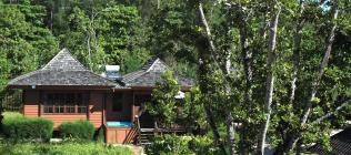 Heliconia Grove Heliconia Grove