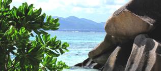 Cabane des Anges Cabane des Anges