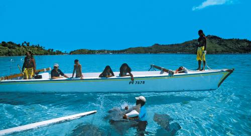 Raies et requins du lagon