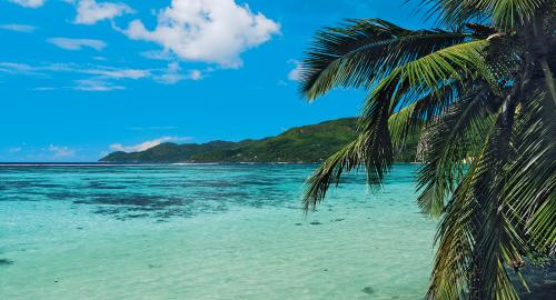 Visite du Parc Marin Visite du Parc Marin