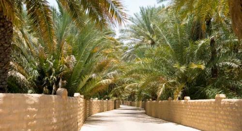 Oasis d'Al Ain Oasis d'Al Ain