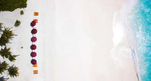 Hondaafushi Island Resort : Activités / Loisirs