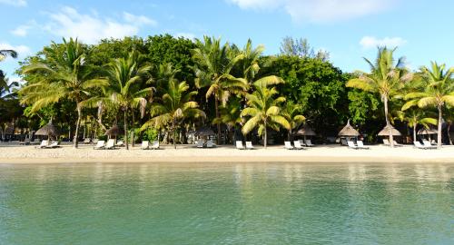 The Ravenala Attitude : Activités / Loisirs