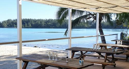 L'Hibiscus : Restauration