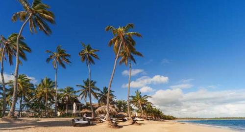 Zoëtry Agua Punta Cana : Activités / Loisirs