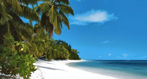 Four Seasons Resort at Desroches Island : Activités / Loisirs