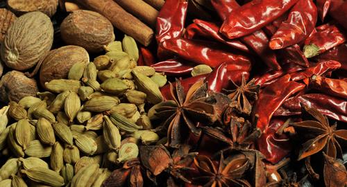 Zanzibar : Les épices