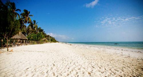 Ocean Paradise Resort & Spa : Activités/loisirs